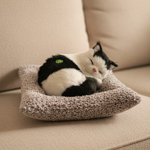 Cat On Pillow With Sound