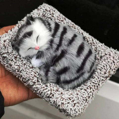 Cat On Pillow With Sound